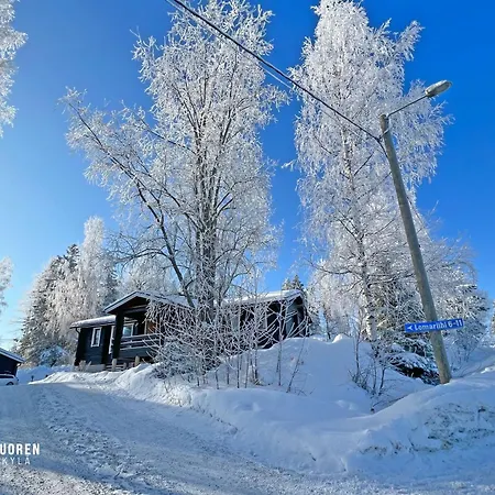 Lomariihi 8 * Muurame